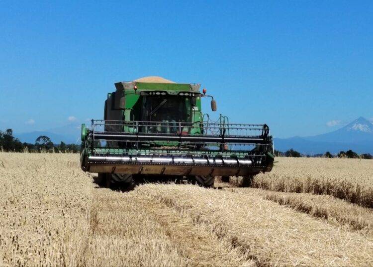 Consorcio Agrícola del Sur advierte «grave crisis del agro» y solicita medidas urgentes