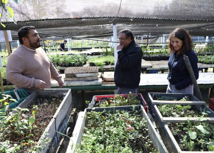 Purén avanza en iniciativas ambientales