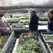 Pur茅n avanza en iniciativas ambientales