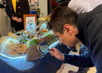 Pitrufquén se prepara para vivir la “Pitrufungi 2026”