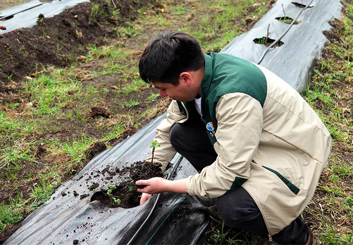 UCT y Minagri Araucan铆a articulan alianza para fortalecer formaci贸n t茅cnica agropecuaria sostenible