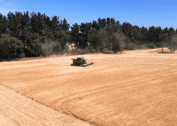 Conflicto en medio oriente: Agricultores advierten que podrían disminuir producción de alimentos