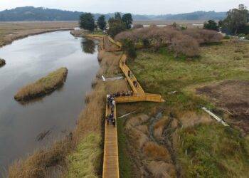 MOP entrega a la comunidad Mateo Nahuelpán obra de pasarela Monkul en Carahue