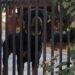 Persona mayor sufrió brutal ataque de jaurÃa de rottweilers en ValparaÃso