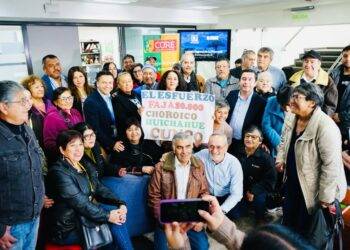 Inversión del Gobierno de La Araucanía permitirá pavimentar ruta estratégica de Cunco con más de $7.200 millones