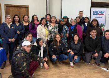 Turismo Rural y Artesanía marcaron jornada de capacitación en Cholchol