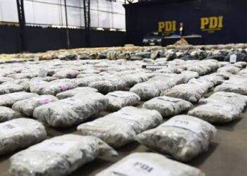Internaban droga desde pasos clandestinos: Desbaratan banda con más de 618 kilos de marihuana