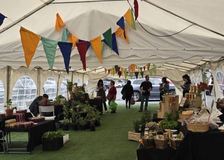 Inédita feria Mercado Rural de Pucón abrirá sus puertas el viernes 3 de julio