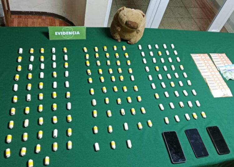 Carabineros del OS-7 y su perro Gorky revelan ovoides ocultos en un peluche capibara