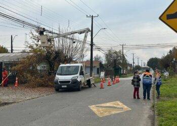 Con la ejecución de un plan de poda preventiva Frontel refuerza la seguridad del suministro en Lautaro