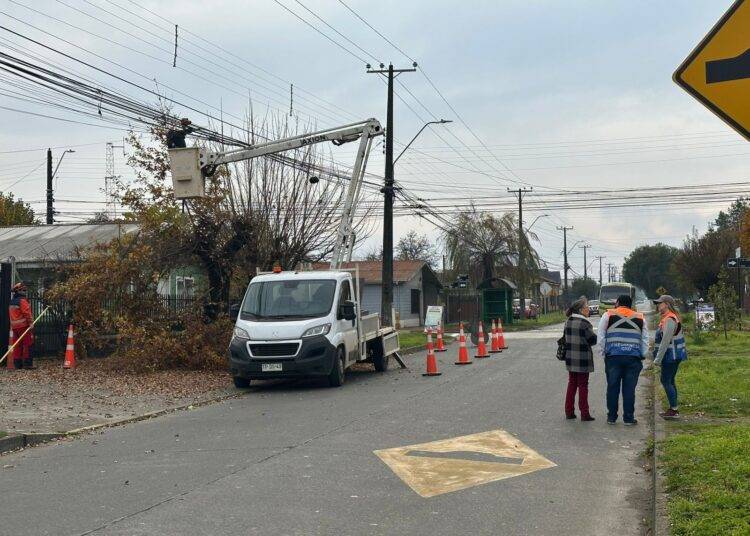 Con la ejecución de un plan de poda preventiva Frontel refuerza la seguridad del suministro en Lautaro