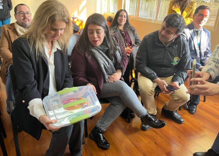 Municipalidad de Pitrufquén entrega kits sensoriales a servicios públicos para fortalecer la atención inclusiva