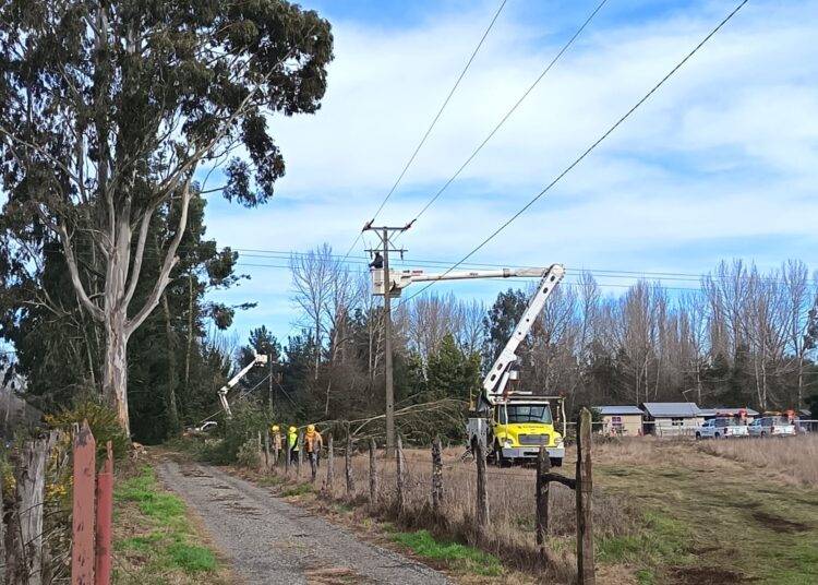 Frontel informa que 99% de los clientes en la Araucanía están con servicio normal y los trabajos de recuperación se concentran en sectores rurales