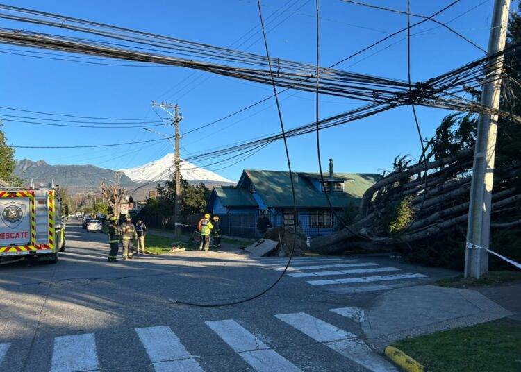 Pucón y Villarrica en Alerta Roja por temporal de viento que dejó aislada a la comuna lacustre