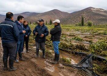 Autoridades declaran emergencia agrícola en tres regiones del país tras daños productivos ocasionados por el sistema frontal