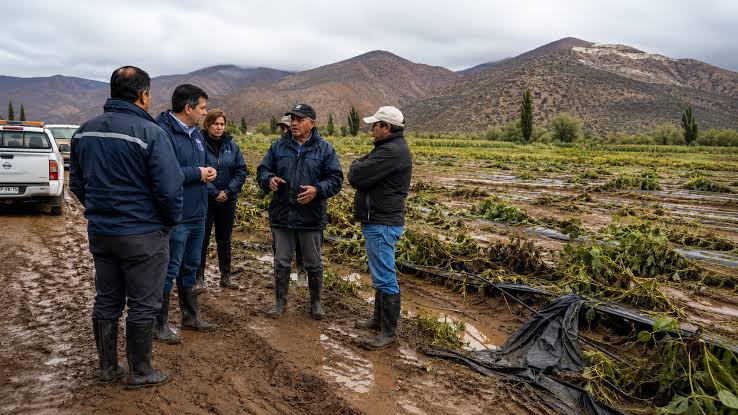 Autoridades declaran emergencia agrícola en tres regiones del país tras daños productivos ocasionados por el sistema frontal
