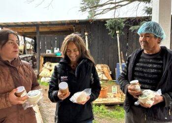 Queso de cabra en Huiscapi: Emprendimiento familiar destaca en el Día Mundial del Desarrollo Rural