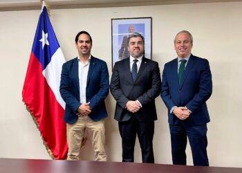 Sistema que permite detectar vehículos robados llega al 100% de las comunas de La Araucanía