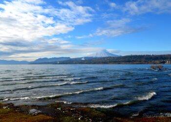 Ministerio del Medio Ambiente reingresó a CGR el Plan de Descontaminación del lago Villarrica