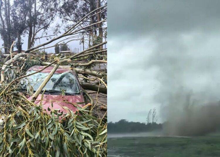 Tornado en la Región de Ñuble: evento deja daños en 142 viviendas