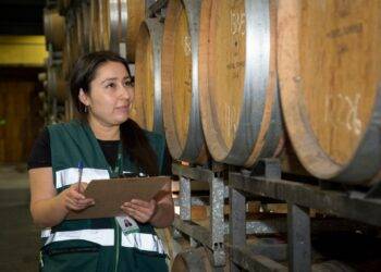 Informe de Producción de Vinos 2026 del SAG muestra un aumento de 13,2 % en la producción de vino a granel