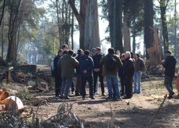 CONAF y Municipalidad de Lautaro proyectan recuperación y arborización del Parque Isabel Riquelme