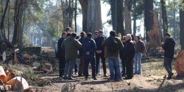 CONAF y Municipalidad de Lautaro proyectan recuperación y arborización del Parque Isabel Riquelme