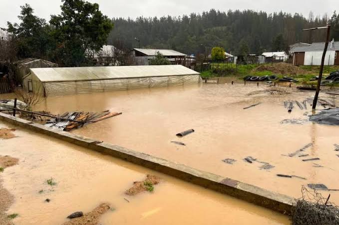 Gobierno declaró Emergencia AgrÃcola en La AraucanÃa tras temporales