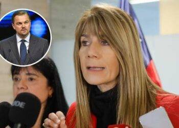 Ministra Rincón apunta contra DiCaprio tras rechazo de proyecto eléctrico en el Maule
