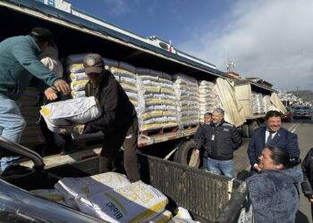 En La Araucanía el Gobierno entrega ayuda a los damnificados en sus viviendas o en la producción agrícola por el sistema frontal