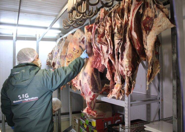 Intensifican inspecciones a toda la cadena de comercialización de la carne en La Araucanía