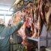 Intensifican inspecciones a toda la cadena de comercialización de la carne en La Araucanía