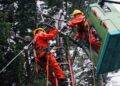 CGE activa plan de acción preventivo ante viento puelche que afectaría a la zona lacustre de La Araucanía