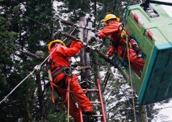 CGE activa plan de acción preventivo ante viento puelche que afectaría a la zona lacustre de La Araucanía