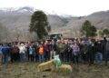 Realizan histórica siembra en el marco del programa para el establecimiento de praderas de alfalfa en Lonquimay