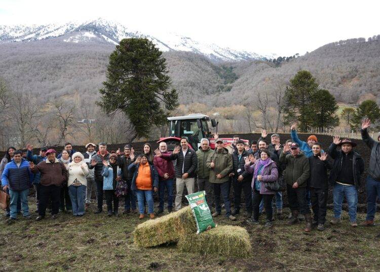 Realizan histórica siembra en el marco del programa para el establecimiento de praderas de alfalfa en Lonquimay