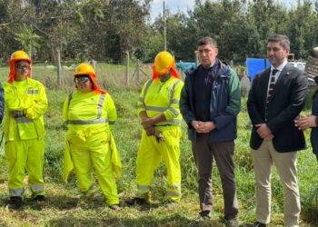 Cerca de 2 mil empleos reforzarán la prevención de incendios en La Araucanía