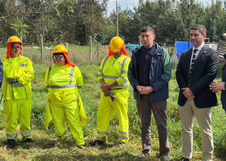 Cerca de 2 mil empleos reforzarán la prevención de incendios en La Araucanía