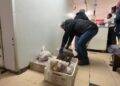 Decomisan más de 350 kilos de carne fuera de norma previo a Fiestas Patrias