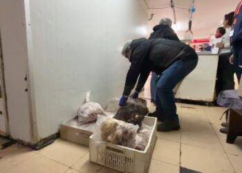 Decomisan más de 350 kilos de carne fuera de norma previo a Fiestas Patrias