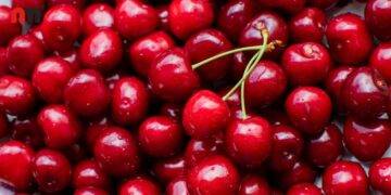 Productores de Ñuble temen perder el 50% de sus cosechas o todo por las lluvias