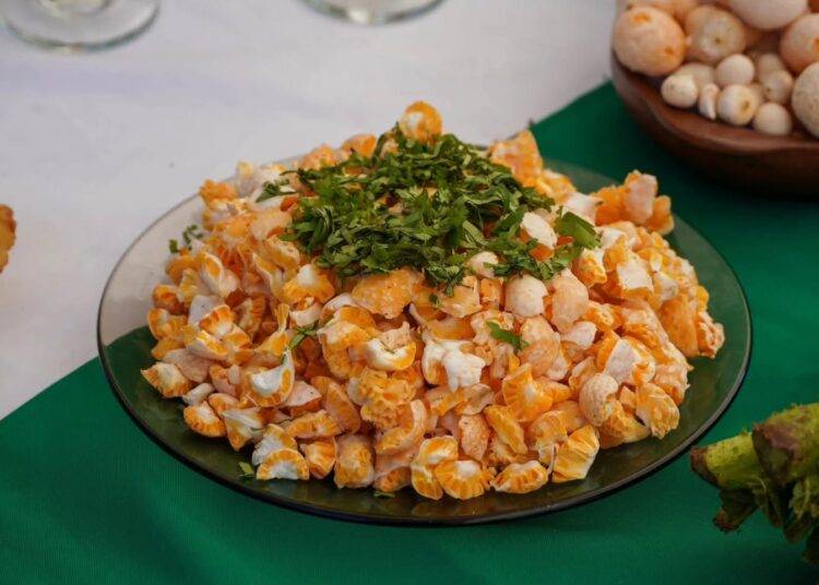 Este sábado y domingo: fiesta de la nalca y el digüeñe en Pitrufquén
